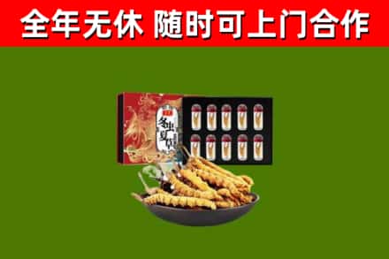 长洲烟酒回收冬虫夏草礼盒.jpg